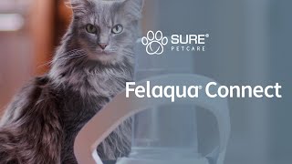 Felaqua® Connect from Sure Petcare US