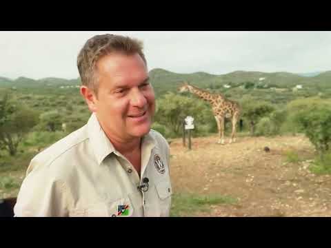 Peter Wackels Windhoek Game Camp in Namibia