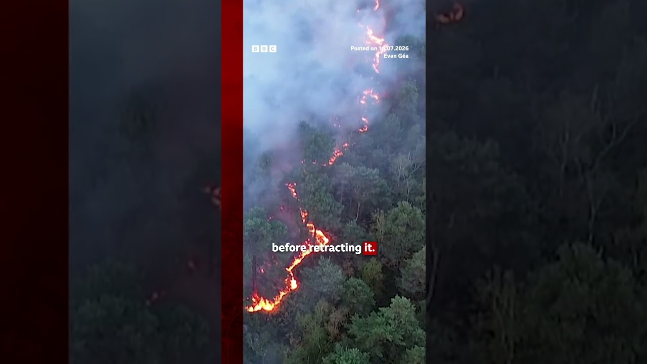 Volunteer firefighter suspected of starting devastating France forest fire. #Fontainebleau #BBCNews