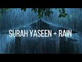 Surah Yaseen With Soothing Rain And Nature Sound Beautiful Recitation Of Holy Quran 2023 