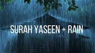 Surah Yaseen With Soothing Rain And Nature Sound - Beautiful Recitation of Holy Quran | 2023 screenshot 3