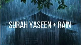Surah Yaseen With Soothing Rain And Nature Sound - Beautiful Recitation of Holy Quran | 2023