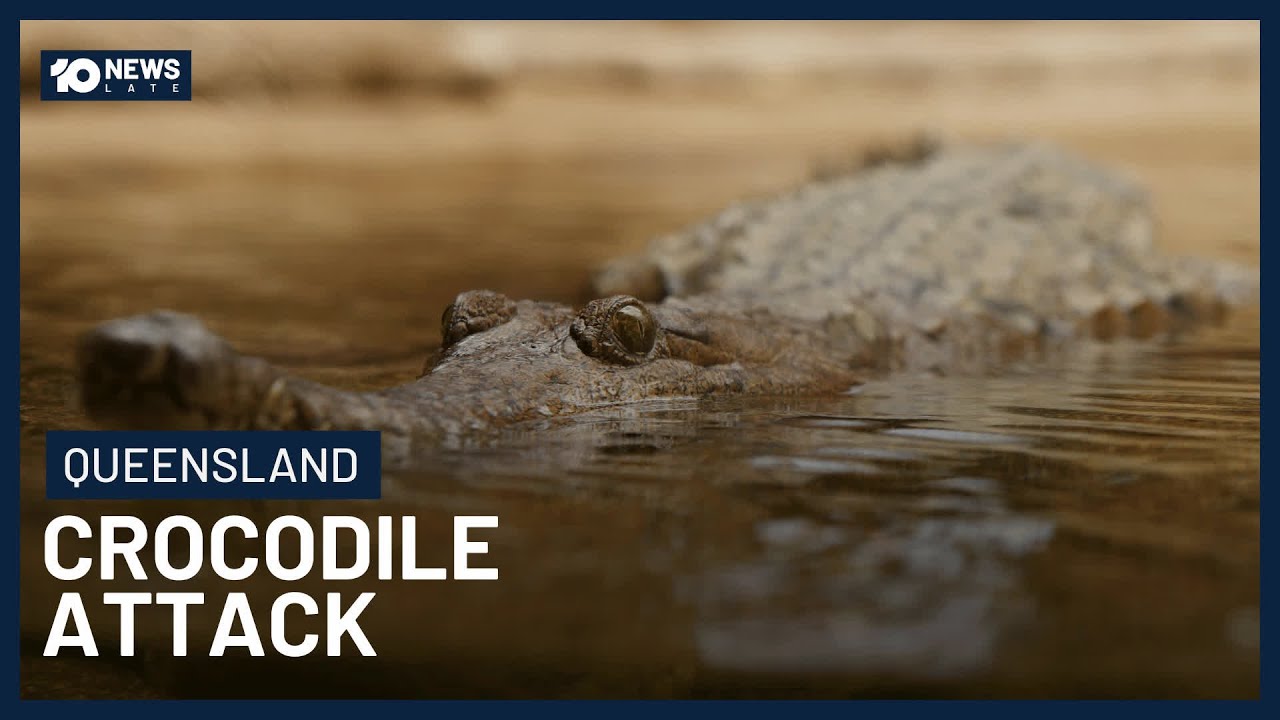 Man Bitten By Crocodile In North Queensland | 10 News
