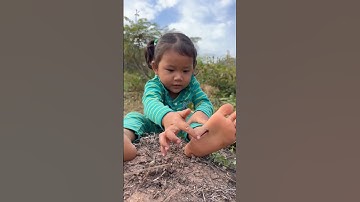 Introducing the "VitaWear SmartBand," a next-generation wearable gadget