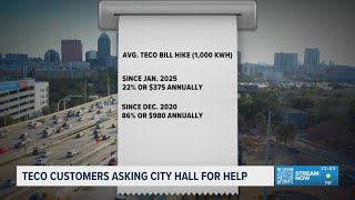 TECO customers want City of Tampa to help keep the electric rates from going up even more