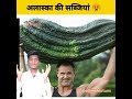 alaska vegetables|| अलास्का की सब्जियां #shorts #mehukefacts