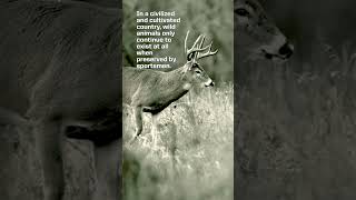 Civilized Cultures & Hunting.