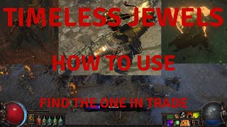 Timeless jewels / How to use / How to pick [PoE 3.24]