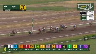 Vidéo de la course PMU PRIX ILUSION CHAMP