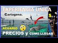 Acuario en Cartagena Islas del Rosario PRECIOS Y TOUR, OCEANARIO VEN A VIVIRLO.