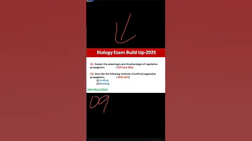 July 5 2025 