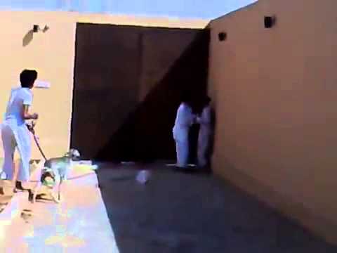 ٢ نوفمبر ٢٠١٥