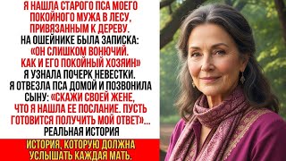 видео: Я нашла пса мужа в лесу, умирающего. Жена моего сына оставила записку- «Следующая — ты…» картинка: Я нашла пса мужа в лесу, умирающего. Жена моего сына оставила записку- «Следующая — ты…»