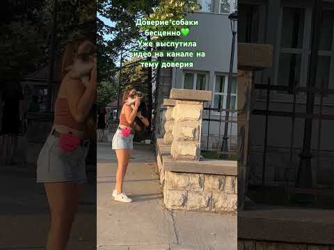 #дрессировкащенка #трюки #дрессировка #dog #dogfitness #shelty #fitness #montenegro