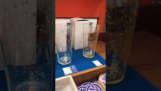 Cups with gold leaf in Japan #goldleafpainting #cups #shortsfeed #feed #shorts