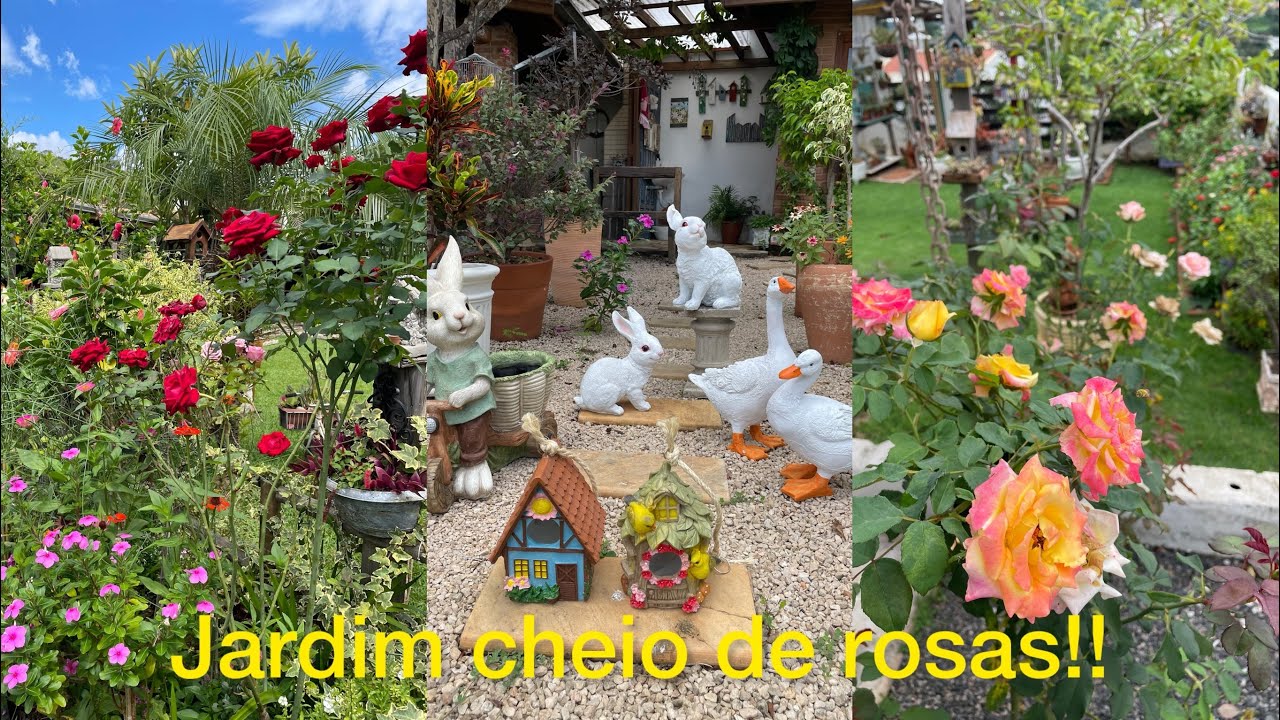 Rosas por todo lado e muitos presentes!!