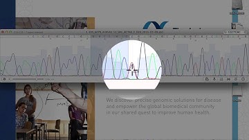 Protocol 6 - DNA Sequence Analysis, Part 2