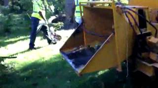 RAW VIDEO: Crews Clean Up Downed Trees At Park