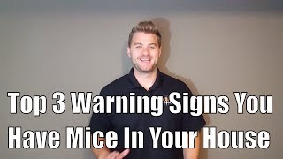 Top 3 Warning Signs You Have Mice In Your House