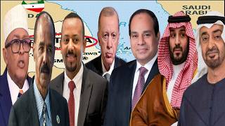 Halis- Loolanka Geeska Africa, Xiisada Badda Cas, Hardanka Uae Iyo Sacuudiga Iyo Hurdada Soomaalida