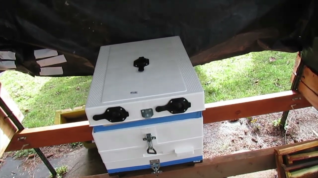 She's Mighty Small but has a New Home.  2-3-26