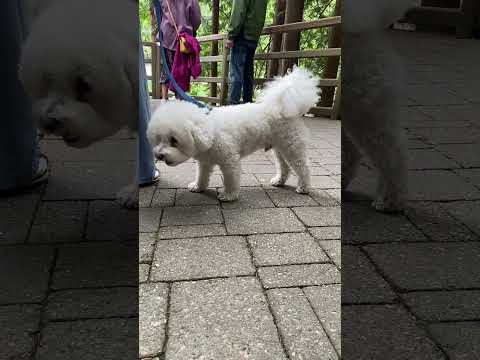 אתה מדבר עלי 