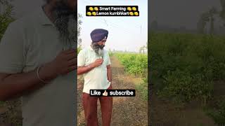 Lemon kumbhkart 🍋 100% satisfied farmer Mr.kuldeep Singh ji review my service Thank you 🙏🏻