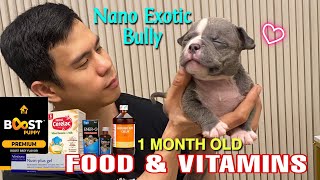 PAGKAIN AT VITAMINS FOR 1-MONTH OLD BULLIES • HOW TO PREPARE + FEEDING • Sam Walastik
