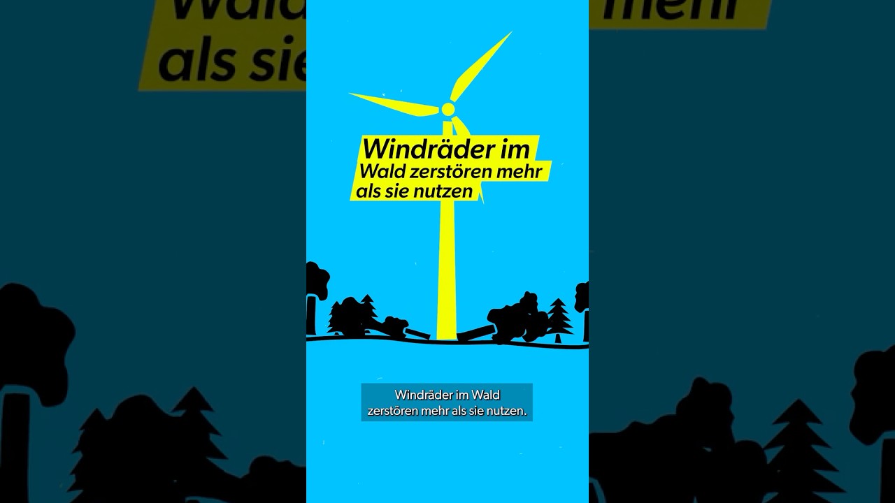 Windräder zerstören den Wald - stimmt das?
