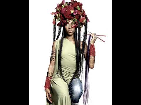 Erykah Badu - Didn’t Cha Know instrumental
