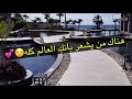 رساله الى امي