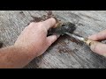 How to fillet a pan fish
