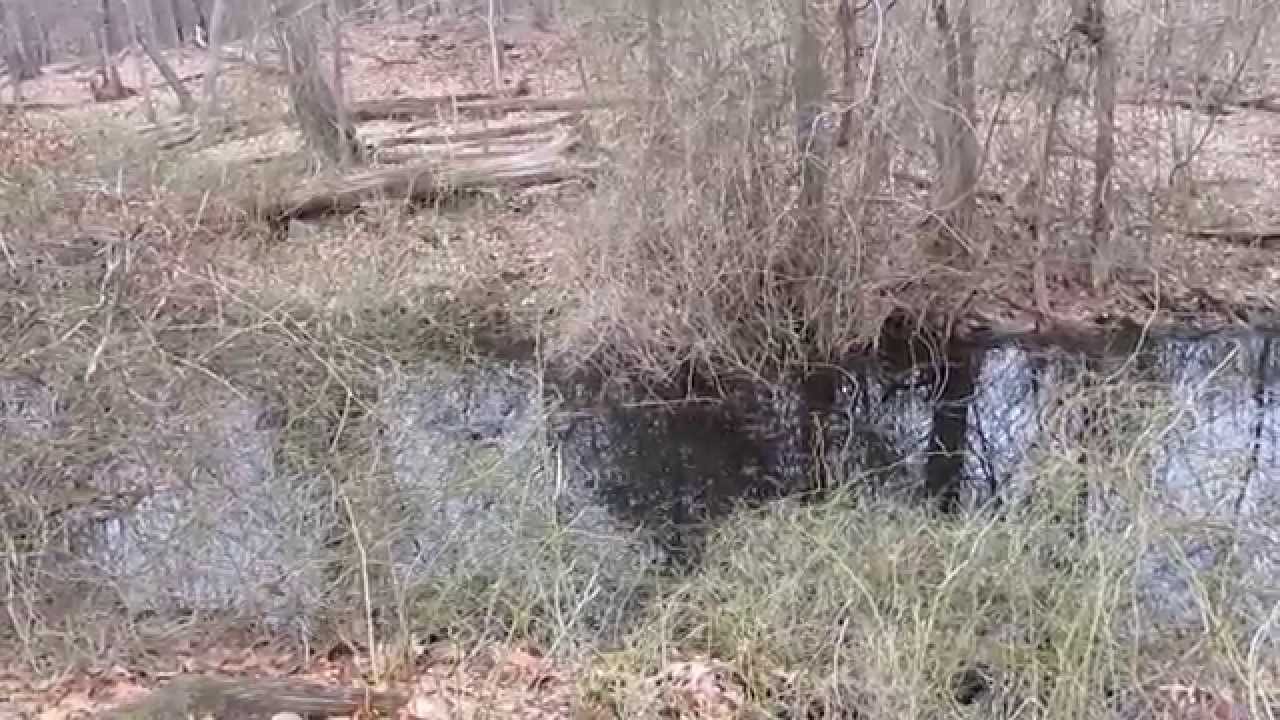 Black Creek Preserve, Esopus, NY YouTube