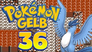 POKÉMON GELB 🟡 #36: Arktos