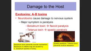BIOL 2420_Chapters 16 and 19