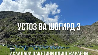 Устоз ва шовгирд