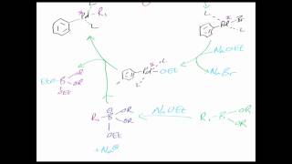 The Suzuki reaction:  Reaction mechanism chemistry tutorial.