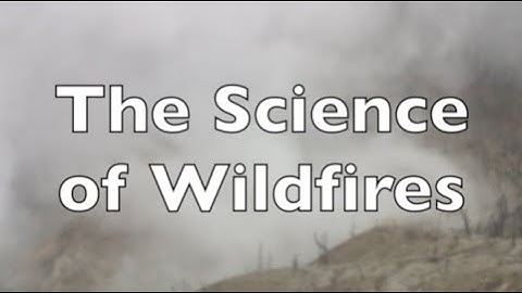 The Science of Wildfires