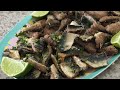 Sardinitas Crujientes con Ajo - Galería de Recetas - GDRC18