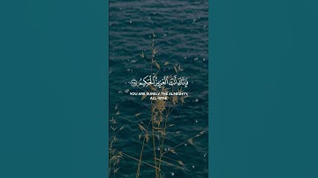 سورة المائدة - الآية 118 | همسات الإيمان  #whispersoffaithchannel #همسات_الإيمان #quran #قرآن