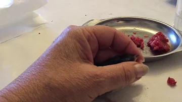 Quel insecte mange les hirondelles ?