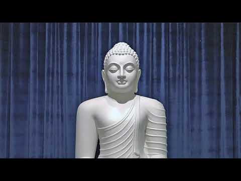 ශ්රී ශාරීරික ධාතු ප්රදර්ශනය -Sri Lanka Buddhist Viharaya Kambah entertainment industry