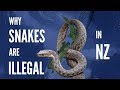 Why Snakes Are Illegal In New Zealand