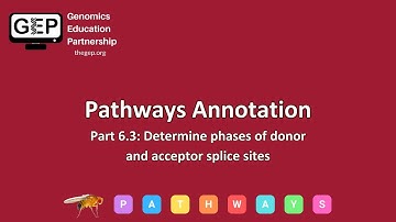 GEP | Pathways Gene Annotation Part 6.3 - Determine phases of donor and acceptor splice sites