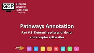 GEP | Pathways Gene Annotation Part 6.3 - Determine phases of donor and acceptor splice sites