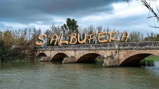 Albufera de Mallorca, Muro y Sa Pobla