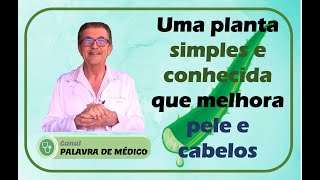 UM VEGETAL SIMPLES E CONHECIDO QUE MELHORA PELE E CABELOS