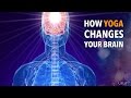 How Yoga Changes Your Brain with Sat Bir Singh Khalsa