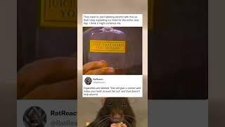 Download Lagu I think a scary label might actually convince me MP3