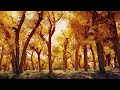 9 Hours of Relaxing Piano Music: Deep Sleep Music, Meditation Music, Spa Music  ★99